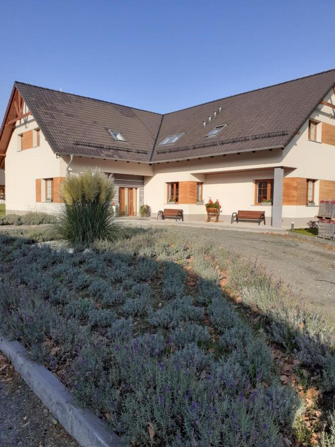 Homestay Aura Kostrzyca