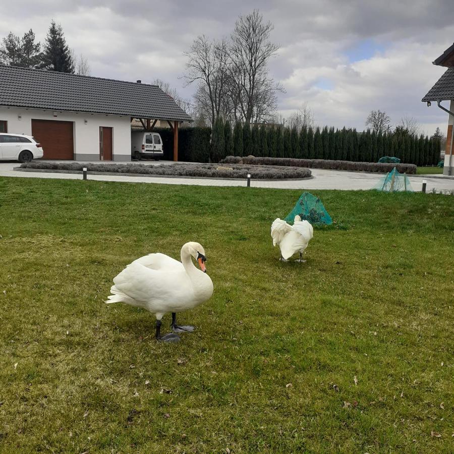 Homestay Aura Kostrzyca